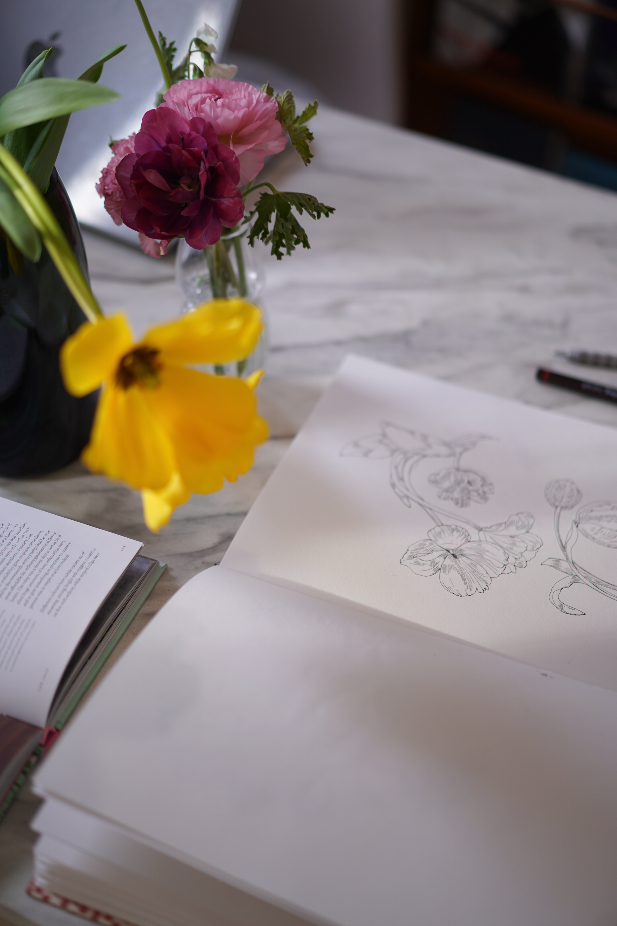 Drawing